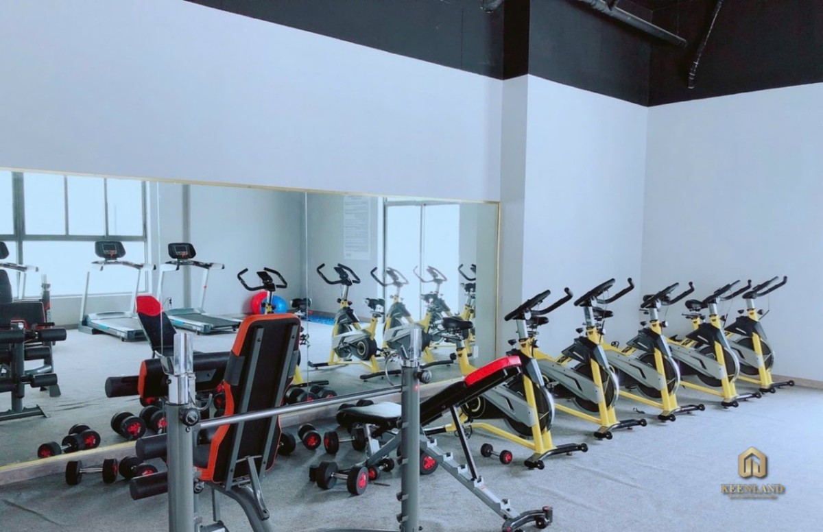 Kiểm Tra Pháp Lý Nhà Đất: Những Điểm Mấu Chốt