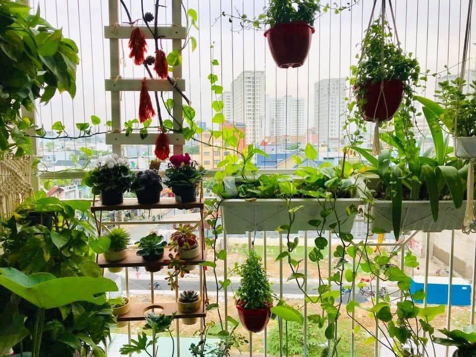 Cho thuê Căn hộ chung cư tại Richstar - 2 phòng ngủ, 65m²