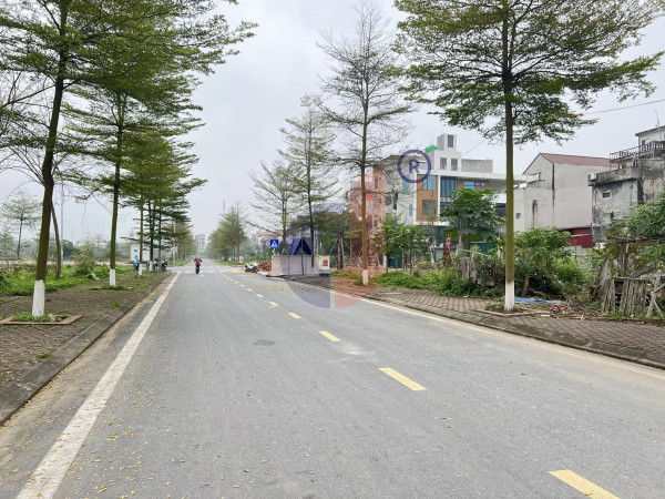 Cần bán nhanh Đất dự án Dabaco Thuận Thành- vew công viên . Giá đầu tư cực