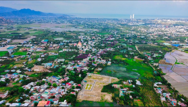 Gấp gấp cần bán nhanh lô đất tại KDC Tân Hội đầu TP Ninh Thuận giá