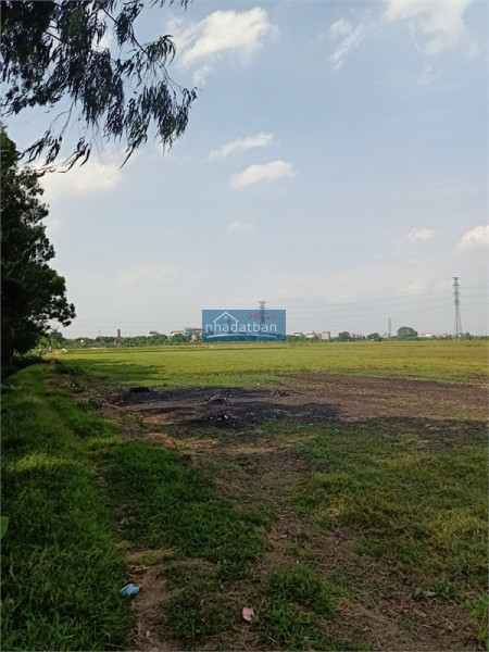Bán 13ha đất kho nhà xưởng 50 năm tại KCN Hưng Yên, Tỉnh Hưng Yên