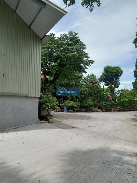 Bán 3ha đất kho nhà xưởng tại Cụm công nghiệp Ninh Hiệp, Huyện Gia Lâm, TP