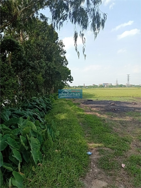 Bán 17ha đất kho nhà xưởng khu công nghiệp Thanh Liêm, Tỉnh Hà Nam