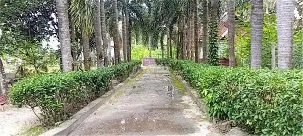 HOT HOT HOT - CHO THUÊ HOẶC BÁN KHUÔN VIÊN BIỆT THỰ NGHỈ DƯỠNG Xã Tân An Hội, TP. HCM (Củ Chi cũ)