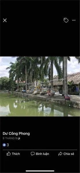 HOT HOT HOT - CHO THUÊ HOẶC BÁN KHUÔN VIÊN BIỆT THỰ NGHỈ DƯỠNG Xã Tân An Hội, TP. HCM (Củ Chi cũ)