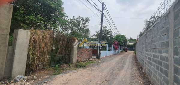 Cho thuê đất kdc tân phong, p. tân phong, tp. biên hòa