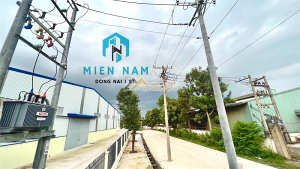 cho thuê nhà xưởng đẹp, sản xuất gỗ. trạm điện 250kwa, đường cont