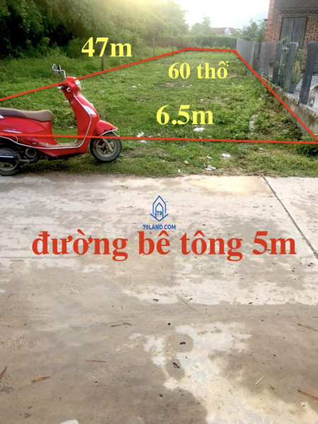 Chính chủ mặt tiền bê tông tại Tân Mỹ - Ninh Xuân, 6.5x47m 60 ONT cách QL26 chỉ vài trăm mét.