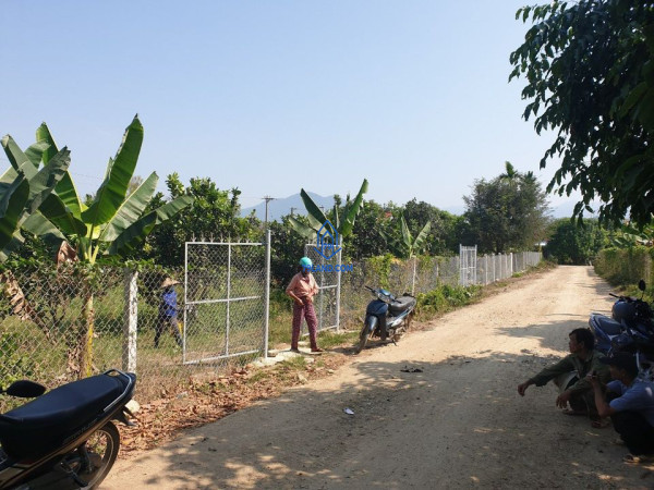 Bán nhanh lô Vườn Bưởi Diên Lâm, Diên Khánh, 5357m2 đang trồng Bưởi, chuối,.... gần uỷ ban