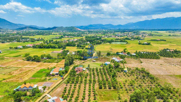 Bán đất QH thổ Ninh Trung có sẵn vườn xoài, Khu dân cư hiện hữu, cách uỷ ban xã Ninh Trung 320m