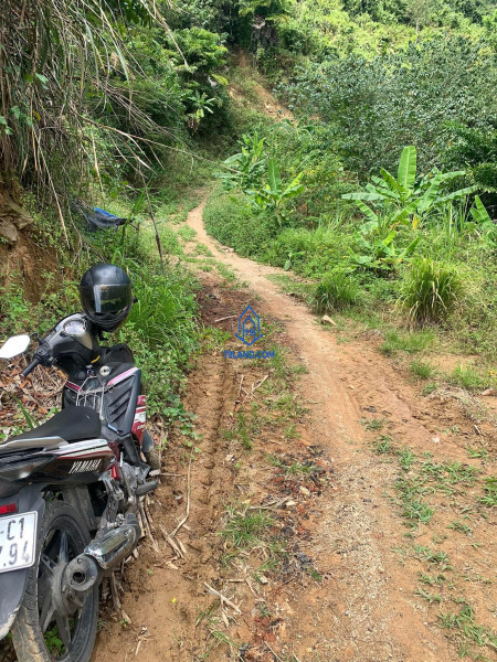 Lô đất rẫy có thác view đẹp ngay Nha Trang, cách đường bê tông 700m