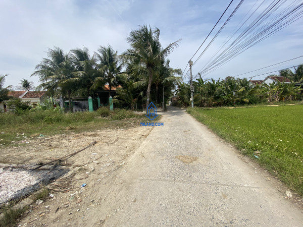 Đất Ninh Phú gần ngay trung tâm Xã giá đang kẹt cần bán nhanh