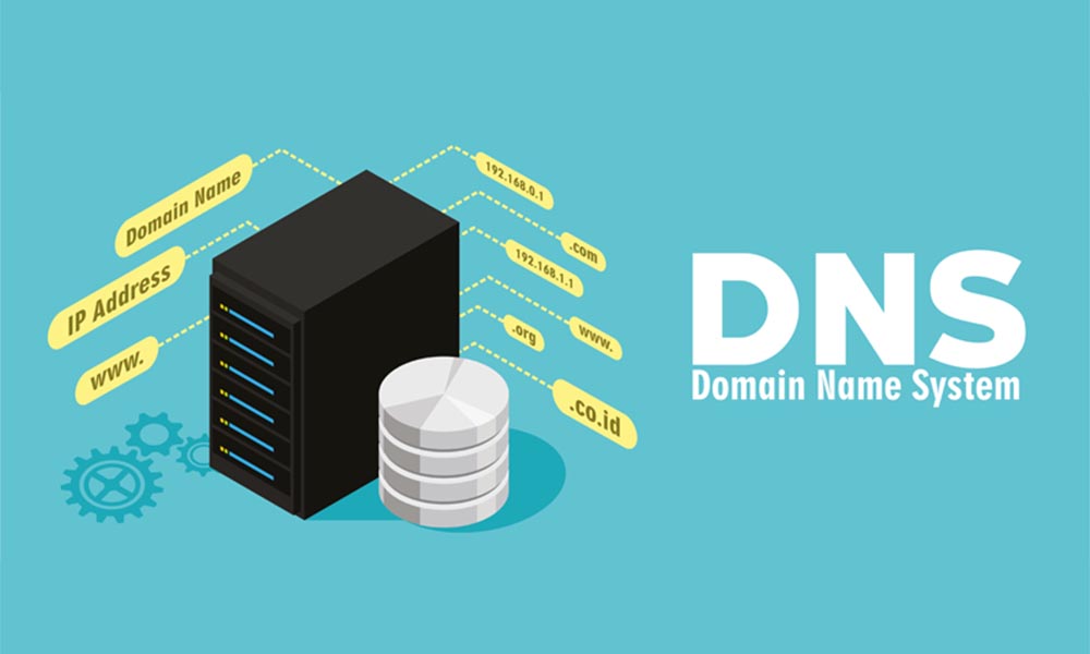 Máy chủ DNS (DNS Server)