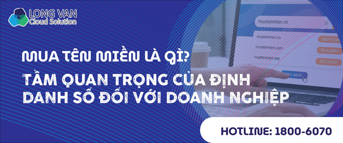Mua tên miền là gì? Tầm quan trọng của định danh số đối với doanh nghiệp