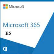 Microsoft Office 365 Office E5