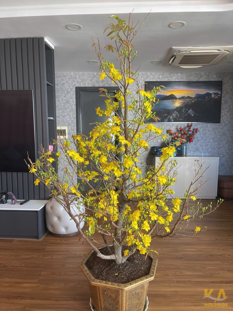 🏡 BÁN CĂN HỘ GATEWAY – 138M² – 3PN – 3WC – TẦNG TRUNG – VIEW BIỂN & THÀNH PHỐ – GIÁ 6,5 TỶ