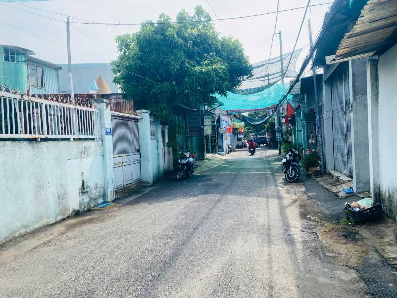 Ảnh đại diện
