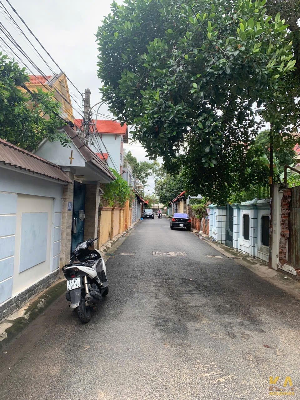 Ảnh đại diện