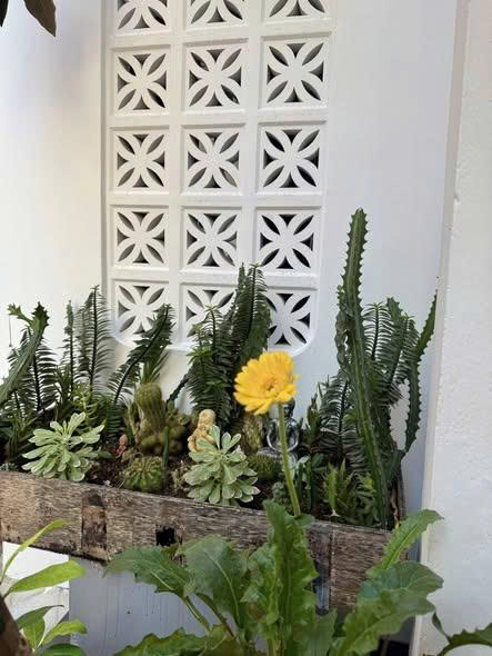 BÁN NHÀ 1 TRÊT 1 LẦU,  PHẠM THẾ HIỂN , P. VŨNG TÀU, TP. VŨNG TÀU - 62M²(4,5 x 12M) - TÂY - GIÁ 5.5 TỶ