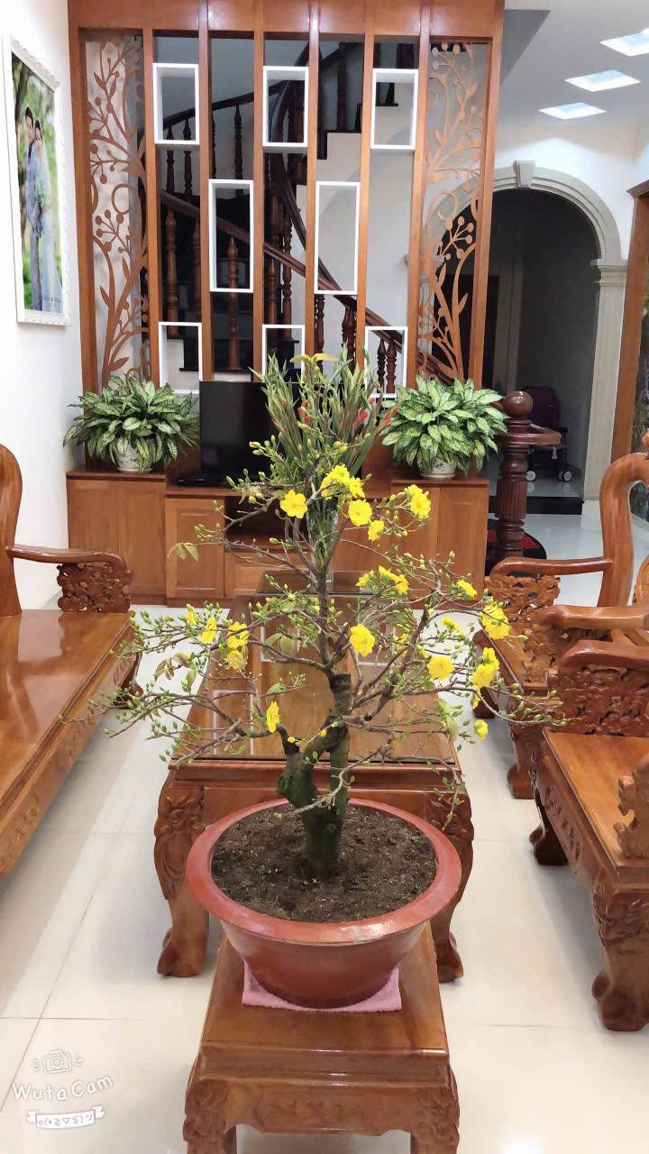 Bán Nhà 2 MT trước sau, 1 trệt 2 lầu 1 tum, KĐT Chí Linh, P. Nguyễn An Ninh, Vũng Tàu _ 90M KT (5x18)M_ TN_ Giá 9.5  Tỷ