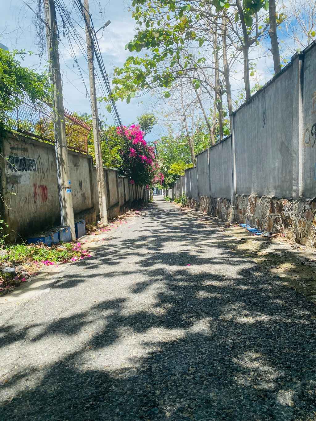 Bán đất hẻm Ôtô 126/ Trần Phú - Phường 5 - Vũng Tàu - 467.3M  (10/10.8 x 48.5/46.3)M - TB - Giá: 37.5 Tỷ