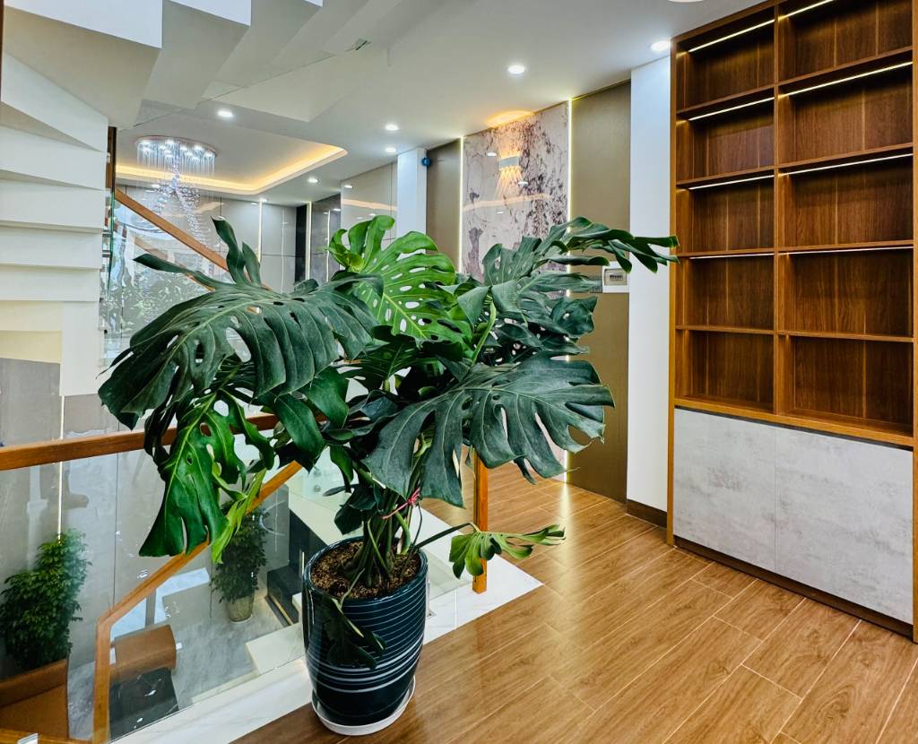 Bán Nhà 1 Trệt ,3 Lầu MT Tô Hiến Thành - Phường 4 - Vũng Tàu. - DT: 63.4M2 (4,4 x 15,3)M - ĐN - Giá: 12.5 Tỷ
