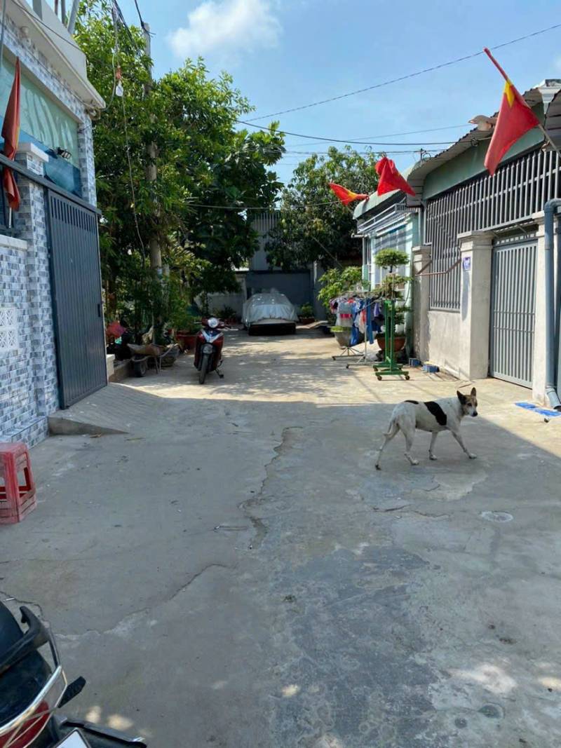 KA675_BÁN LÔ ĐẤT ĐẸP – PHƯỚC THẮNG, P.12, VŨNG TÀU - 102,8m (5.15x19.8)m - TN_Giá 3 tỷ