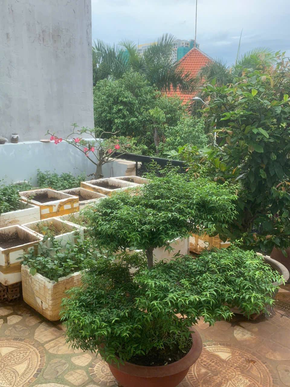 Bán Nhà 1 trệt 1 lầu KĐT Chí Linh - P10 -  90M2 (5.4x16.7)M - Giá: 8.2 Tỷ (TL)