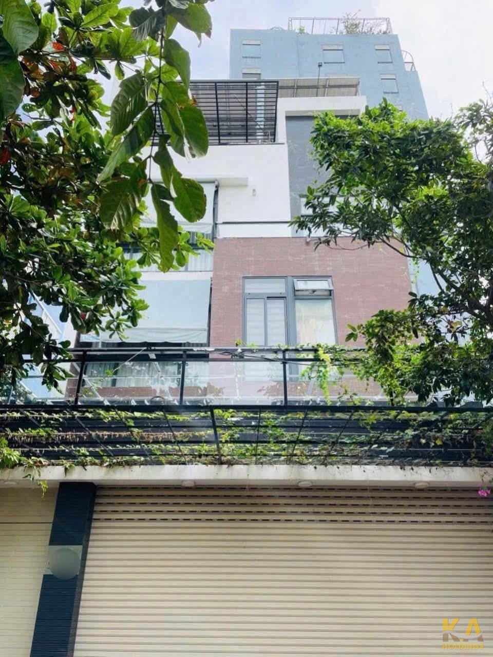 Ảnh đại diện