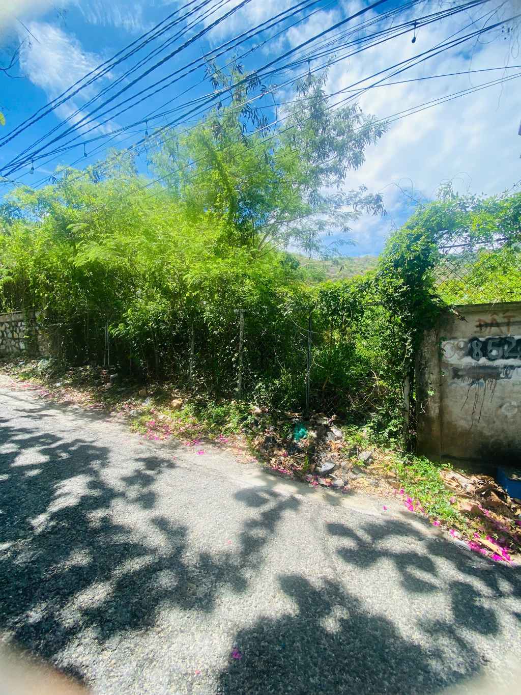 Bán đất hẻm Ôtô 126/ Trần Phú - Phường 5 - Vũng Tàu - 467.3M  (10/10.8 x 48.5/46.3)M - TB - Giá: 37.5 Tỷ